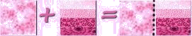 Step2